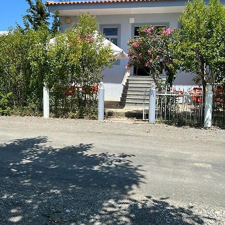 Shen Ded Gjoni Guest House Andersoni Dhoma Plazhi Andersoni מראה חיצוני תמונה